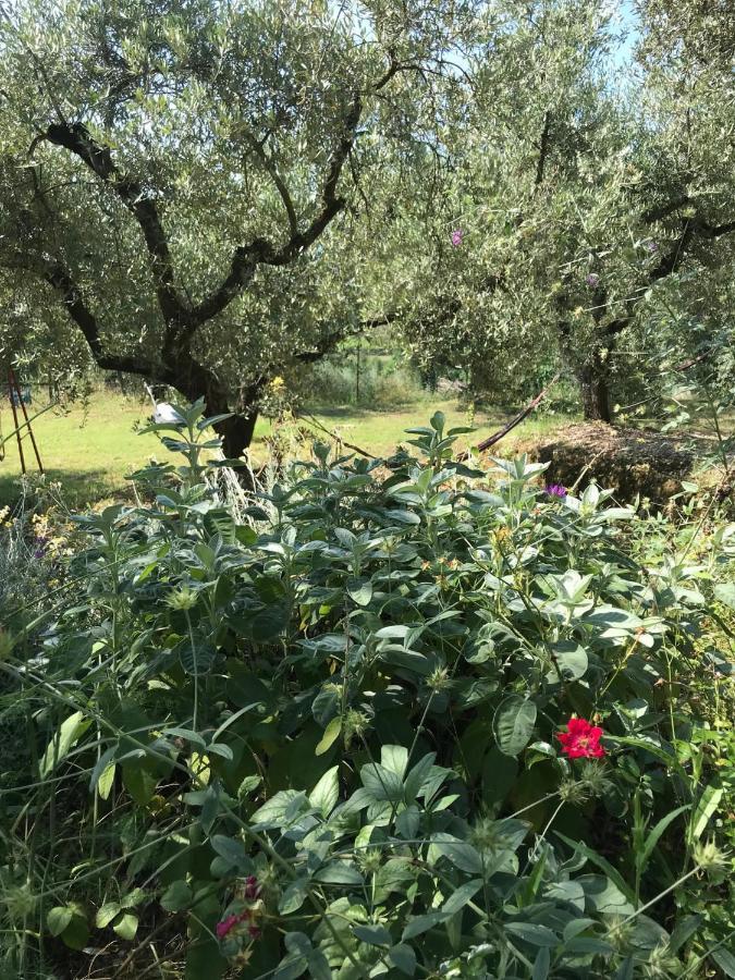 Casa Lunaria Moscufo Dış mekan fotoğraf