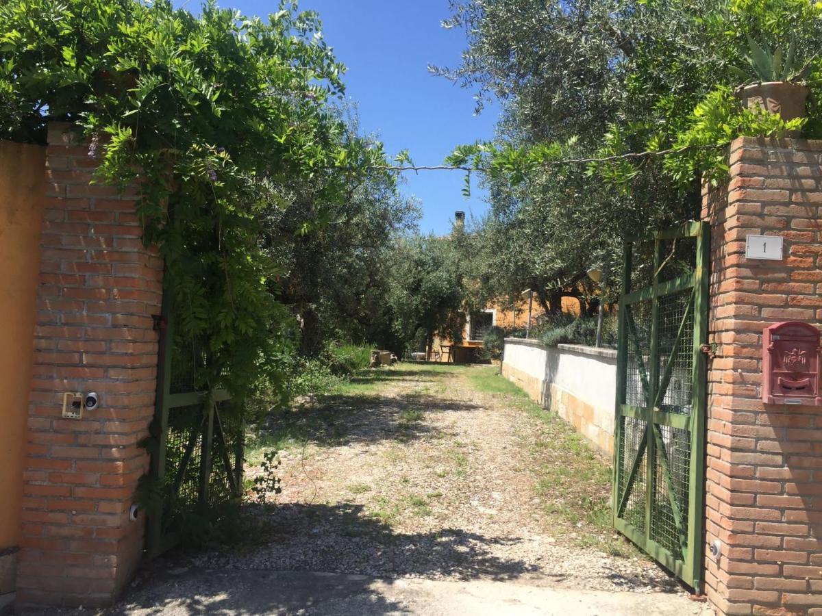 Casa Lunaria Moscufo Dış mekan fotoğraf